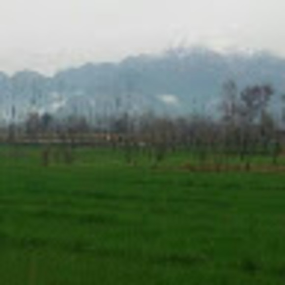 Meet your Posher, Aftab - Picture 1 of 1